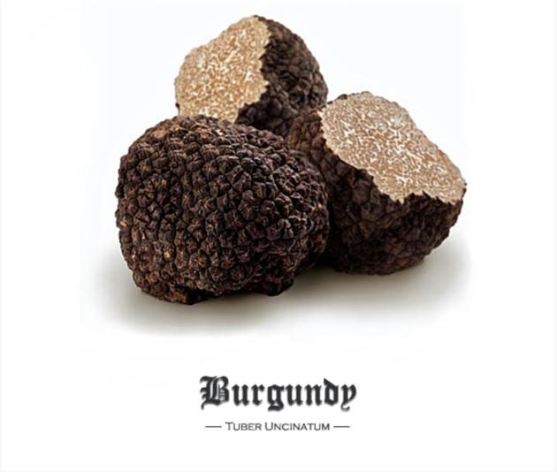 Fresh Black Truffles
