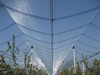 anti hail net