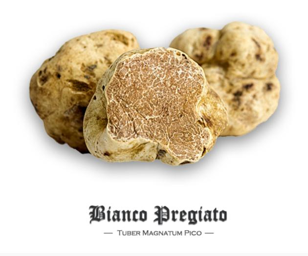 Fresh White Truffles