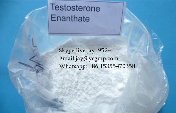 Testosterone Enanthate Bodybuilding Anabolic Steroids Chemical