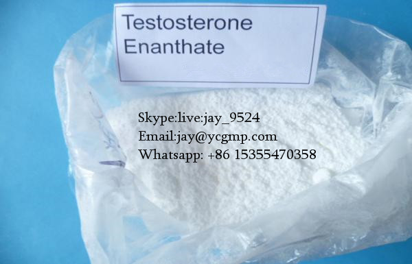 Testosterone Enanthate Bodybuilding Anabolic Steroids Chemical