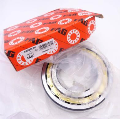 FAG Cylindrical Roller Bearings NJ2222 110X200X53mm