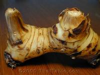 Galangal Root extract