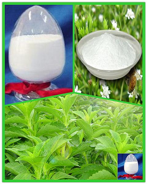 Wholesale Pure Stevia Extract Powder
