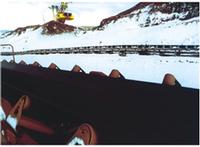 Cold resistant conveyor belt
