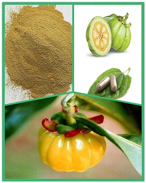 60% HCA Garcinia Cambogia Extract 