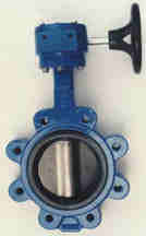 Lug type butterfly valve