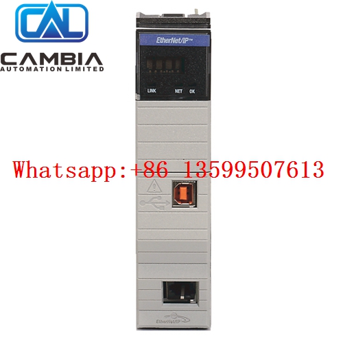Allen Bradley 1757 BEM 100 Brand