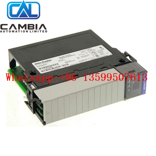 Allen Bradley	1769-PA2 100% Brand New