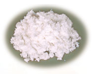 nitrocellulose chips