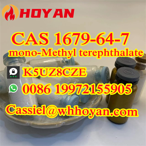 99 % purity Monomethyl Terephthalate powder CAS 1679-64-7 
