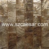 natural capiz shell mosaic tile - L002G