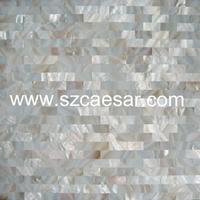 natural sea shell mosaic tile - MS020