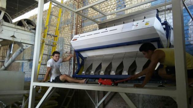 Color Sorter Machine
