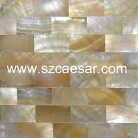 natural sea shell mosaic tile - MS024