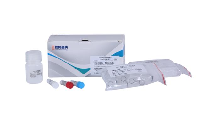 Mycobacteria Nucleic Acid Detection