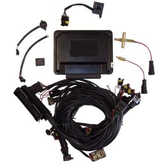 LPG CNG sequentional injection ECU