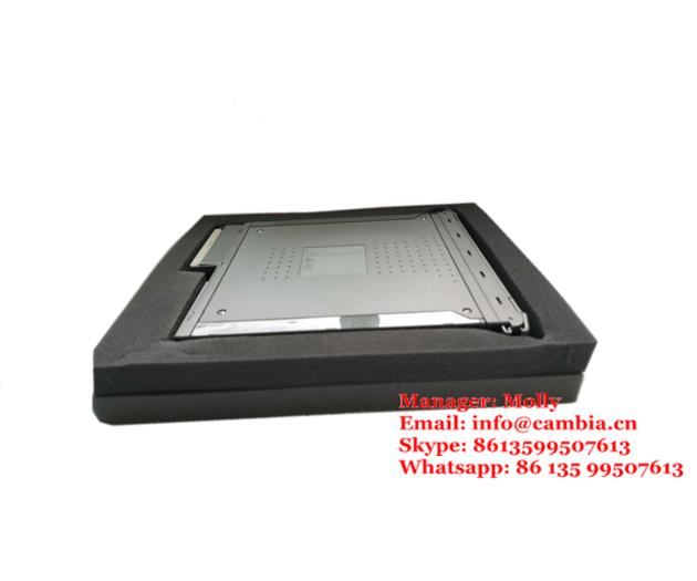 ICS TRIPLEX T8831 40 channel Analogue Input FTA