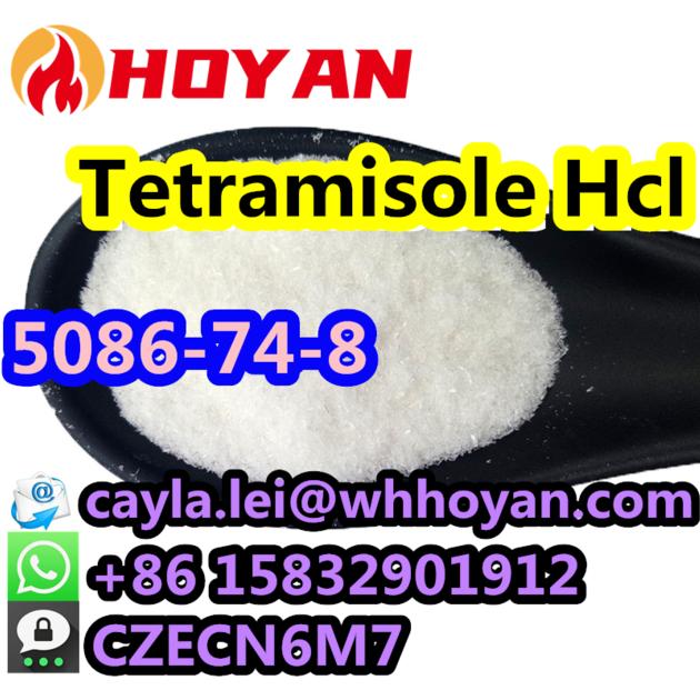 99% High Purity Antiparasitic Tetramisole hydrochloride Powder CAS 5086-74-8 WA:+86 15832901912