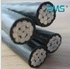 Rate voltage 1kV and 10kV Aerial Insulated Cable