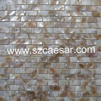 natural sea shell mosaic tile - MS082