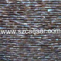 natural sea shell mosaic tile - MS085