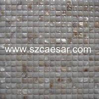 natural sea shell mosaic tile - MS093