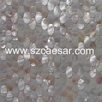 natural sea shell mosaic tile - MS098