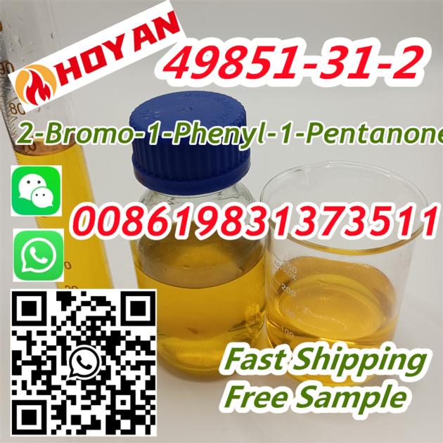 CAS 49851 31 2 2 BROMO