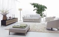 BV826# -- modern sofa/contemporary sofa/leisure sofa