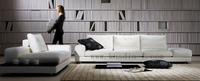 BV891# -- corner sofa/modern sofa/contemporary sofa/leisure sofa/movable headrest
