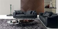BV910# -- modern sofa/contemporary sofa/leisure sofa