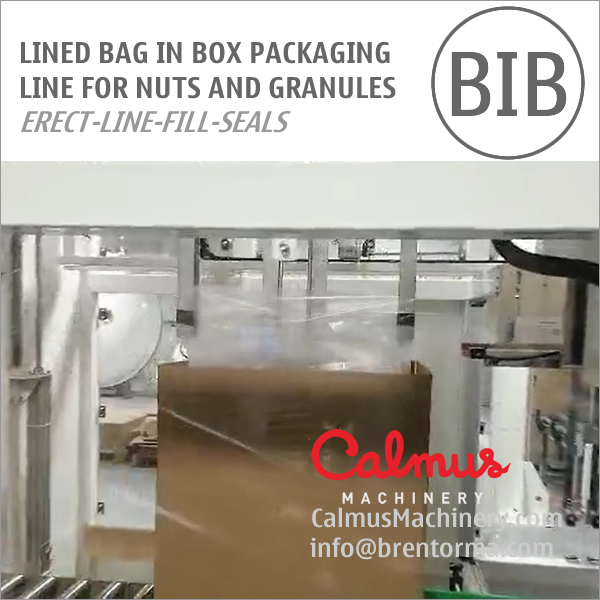 Liner Bag In Box Forming Filling