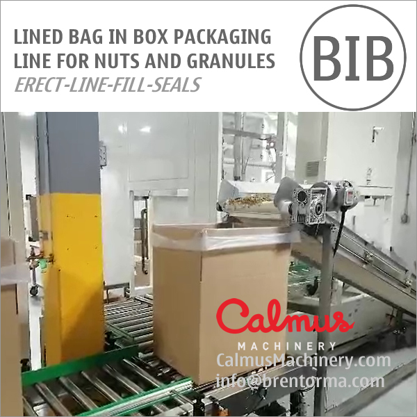 Liner Bag in Box Forming Filling Sealing Line for Packaging Nuts and Granules