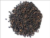 Black Pepper Fruit Extract