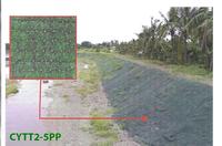 Erosion Control-Turf Reinforcement Blanket