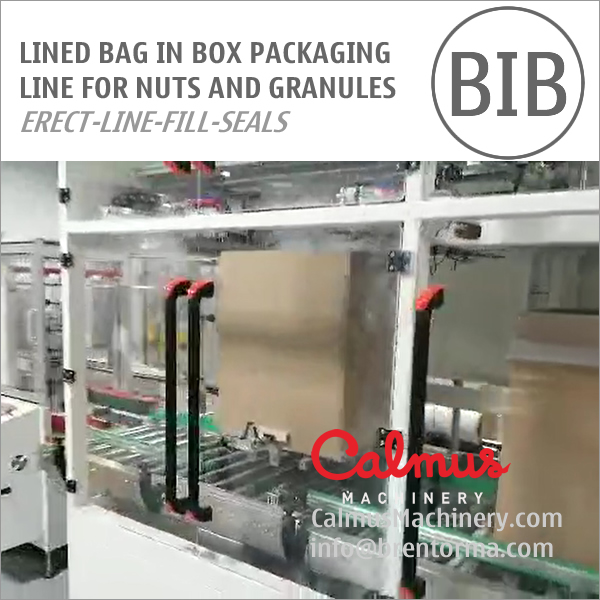 Liner Bag In Box Forming Filling