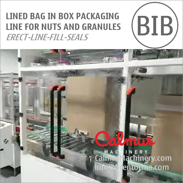 Carton Liner Bag In Box Line