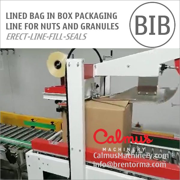 Liner Bag In Box Forming Filling