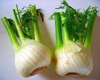 Fennel extract