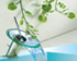 sanitary ware
