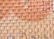 galvanized square wire mesh