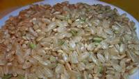 GABA--Germinated Brown Rice Extract