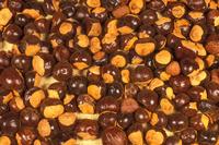 Guarana Seed Extract