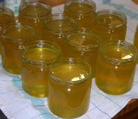 Honey