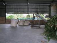 Corn silage