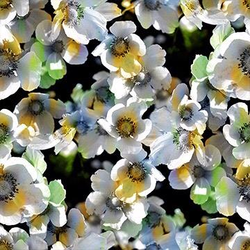 digital printed polyester fabric