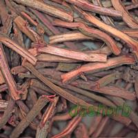India Madder Root Extract