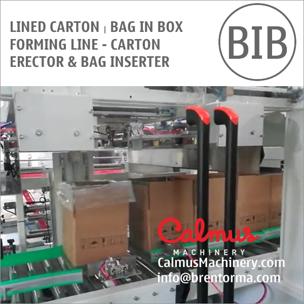 Carton Erector And Bag Inserter Lined