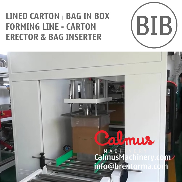 Carton Erector And Bag Inserter Lined